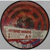 Hybrid Minds - Silver Linings / Seasons
